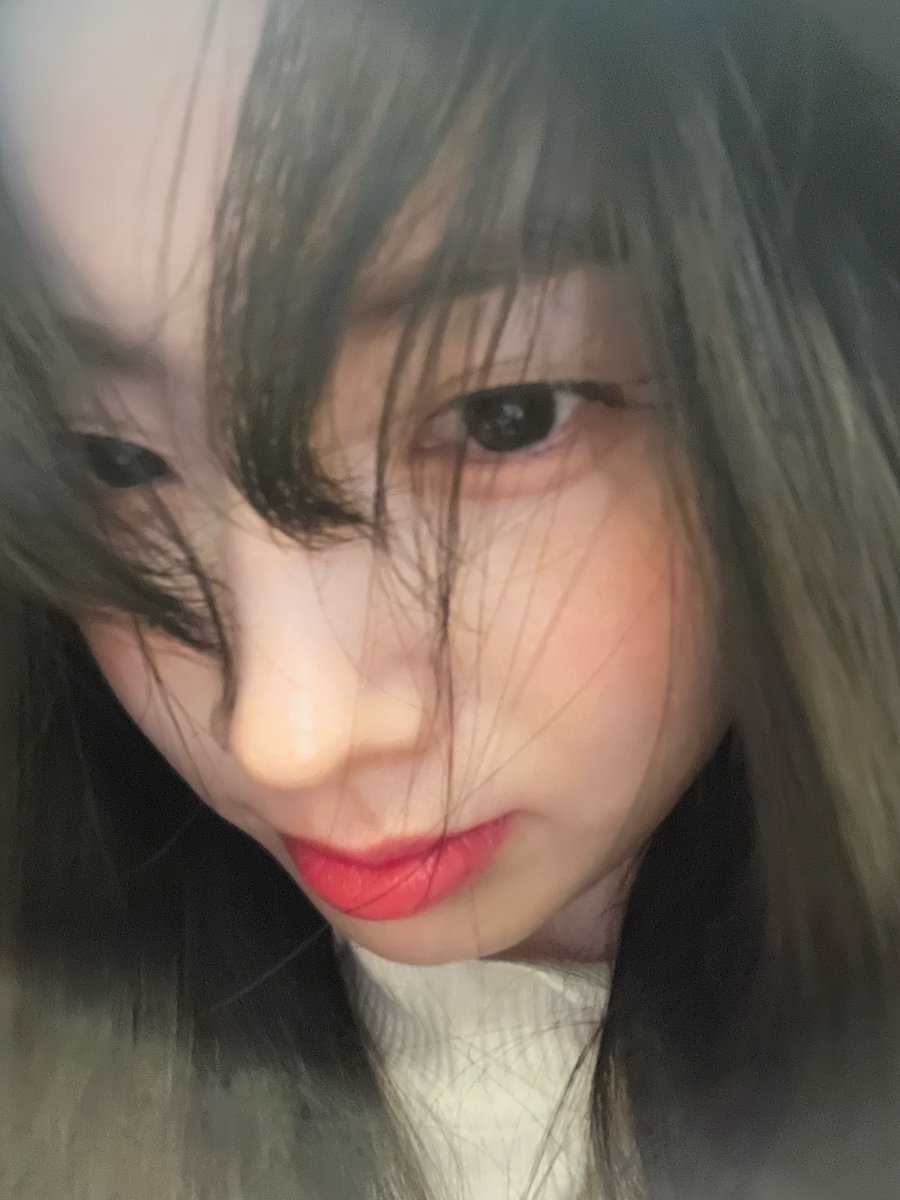 둡 tweet media