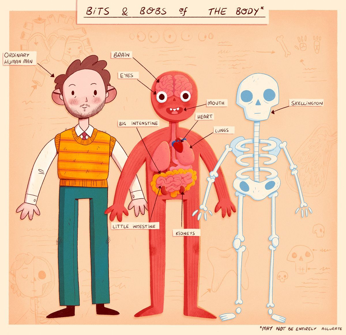 goodkidtweets's tweet image. Anatomy by Sam Dawson

buff.ly/3wLYVFc

#nonfictionforkids #nonfiction #nonfictionforchildren #anatomy #biology #science #comicbook #childrensbookillustration #childrens_illustration #childrenswritersguild #childrensillustration #moreillustration #childrensillustration