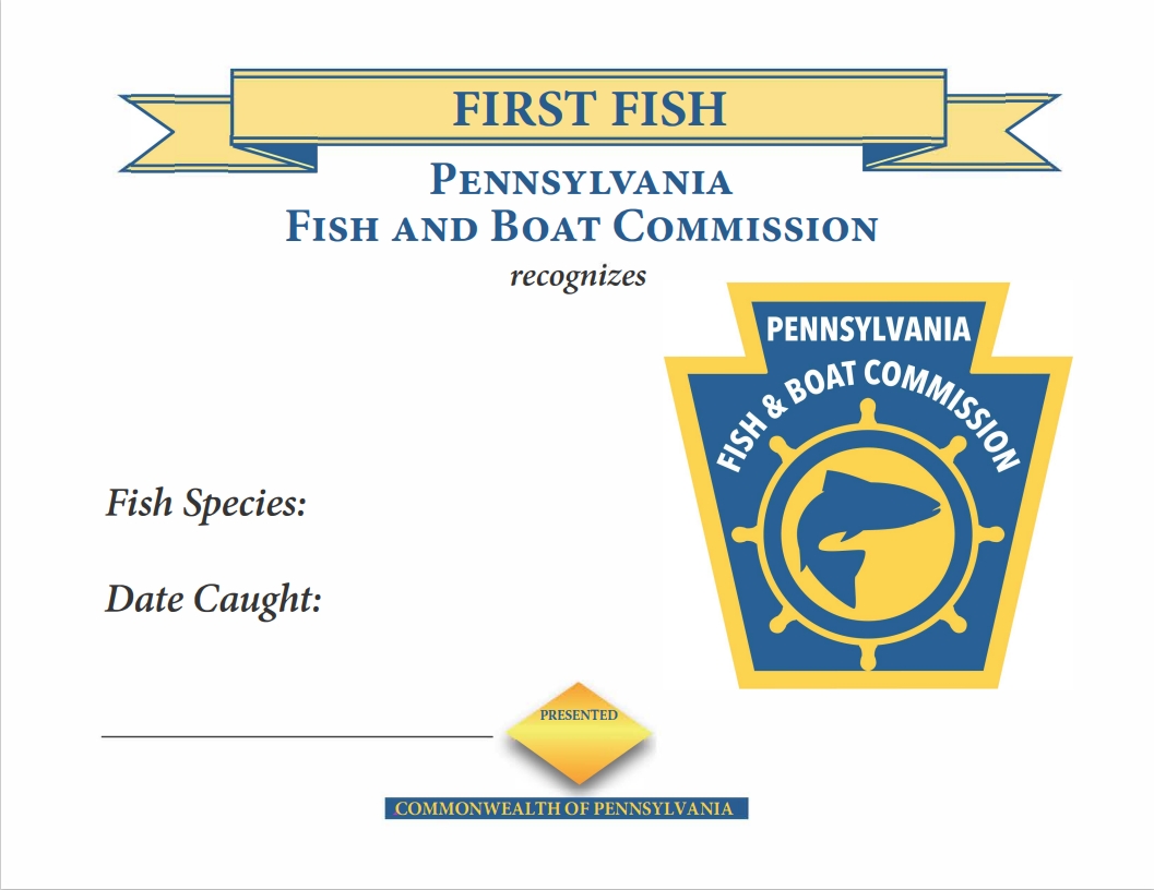 pafishandboat's tweet photo. We believe in celebrating that very first catch! 🎣🏆
Print yours here ➡️ https://t.co/B1fmCUQXKN
#FirstCatch #PAFishandBoat #Festivus #Fishing #FishOn https://t.co/bKOmL8u2Ev