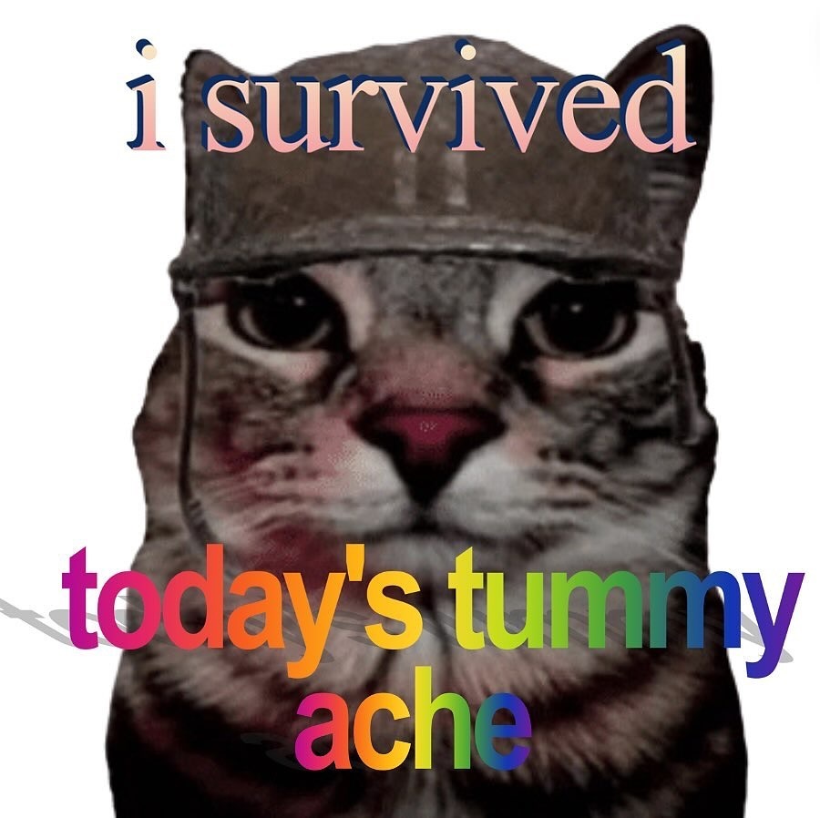 Punch Cat tweet media