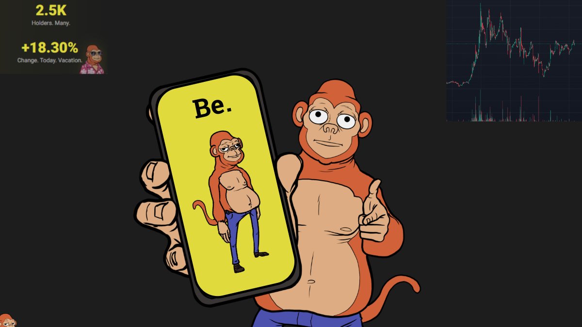 monko 🐝 tweet media