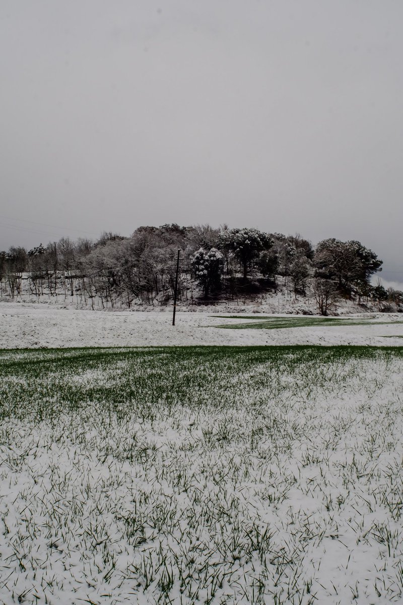 Dies de tornar a casa (per a qui la té).
Dies de retrobar-nos amb la família (per a qui la conserva).
Dies de bons desitjos, auguris i intencions.

Per això des de Repoblem desitgem que totes tingueu la casa i la família que voleu.