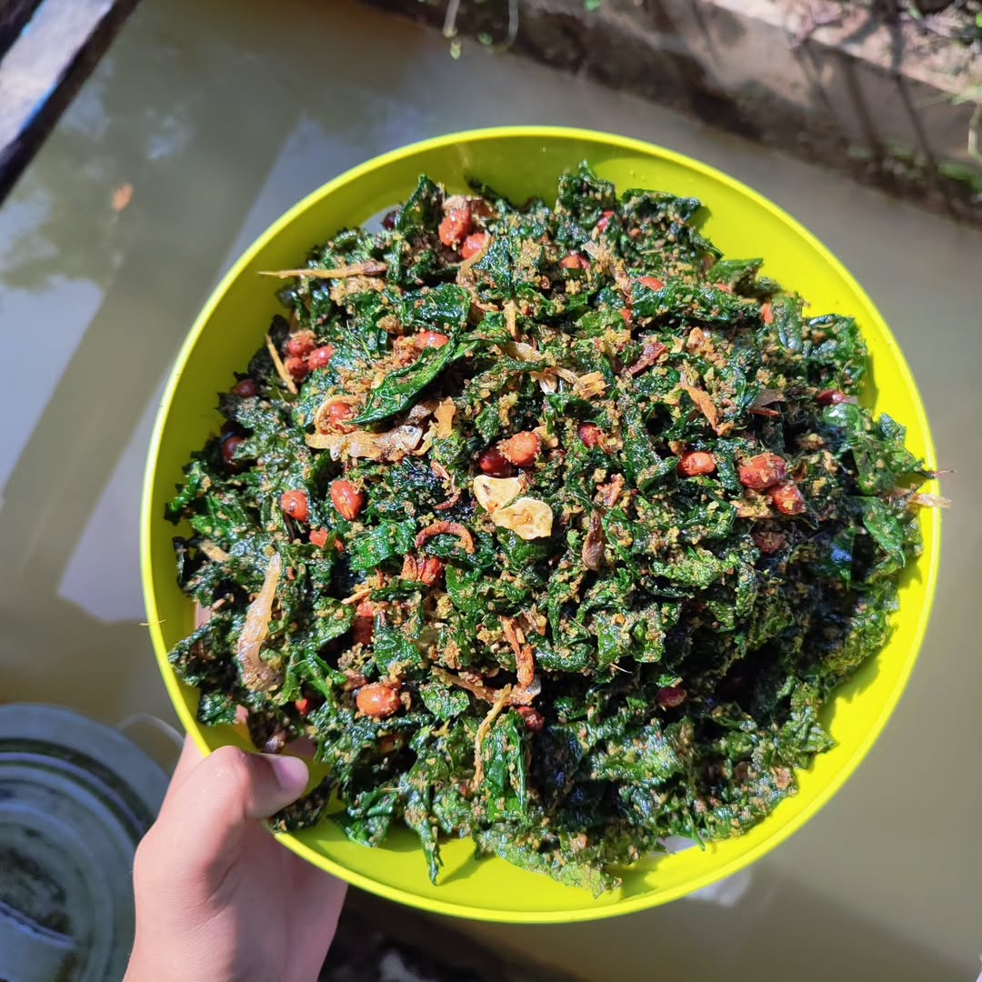 Pucuak Koa ada yang sudah pernah cicipin?