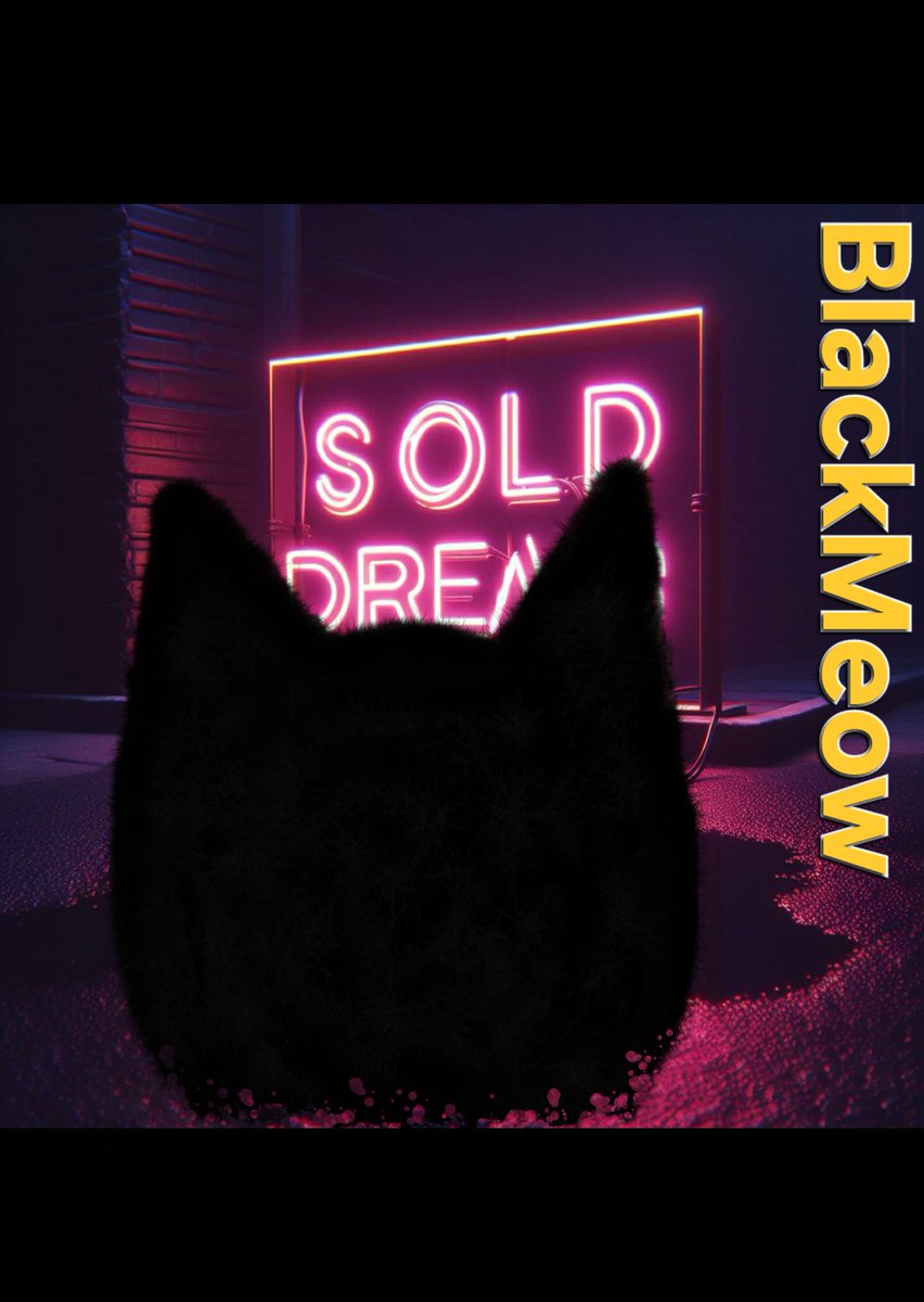 BlackMeowCoin tweet media
