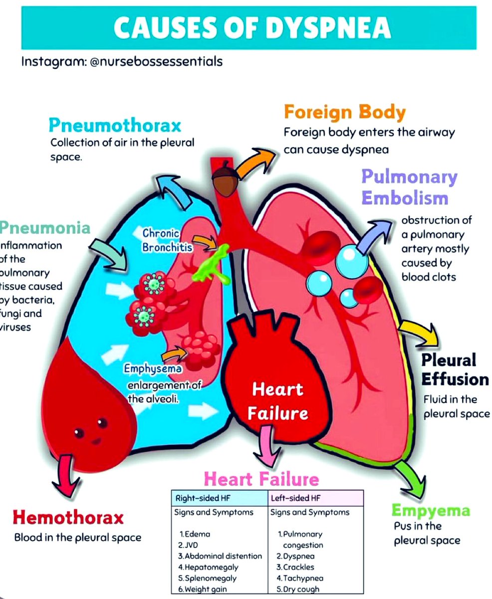Causes of Dyspnea