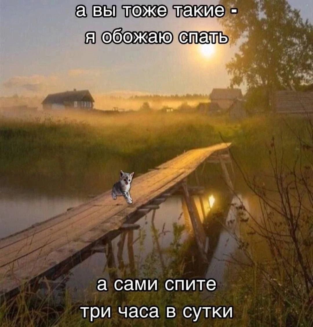 catsilcats's tweet photo. https://t.co/yjpNpSm9aq