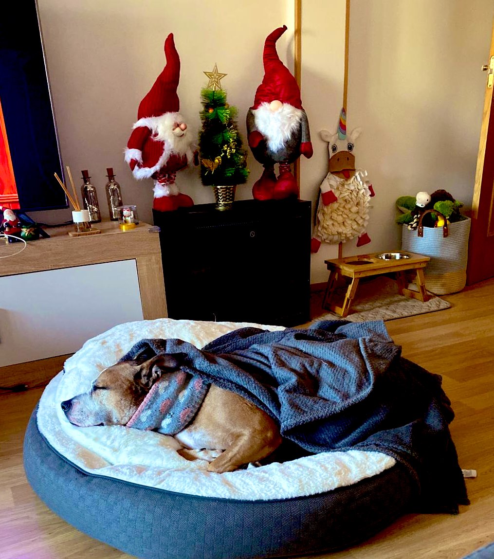 Karen Rubio tweet media