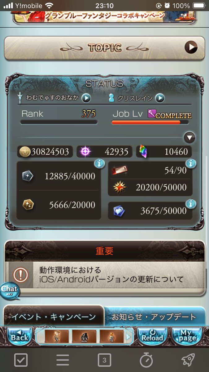 初めてはや4年、初めてランクカンストしました！