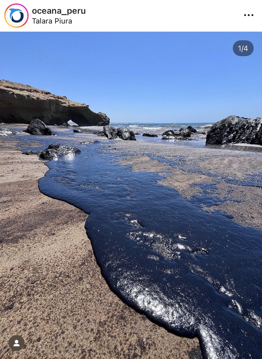 Otra vez nuestro mar sufre. 
10 mil metros cuadrados contaminados con petróleo en talara. 

LA HISTORIA SE REPITE. 

Los matan todo y nunca pasa nada!