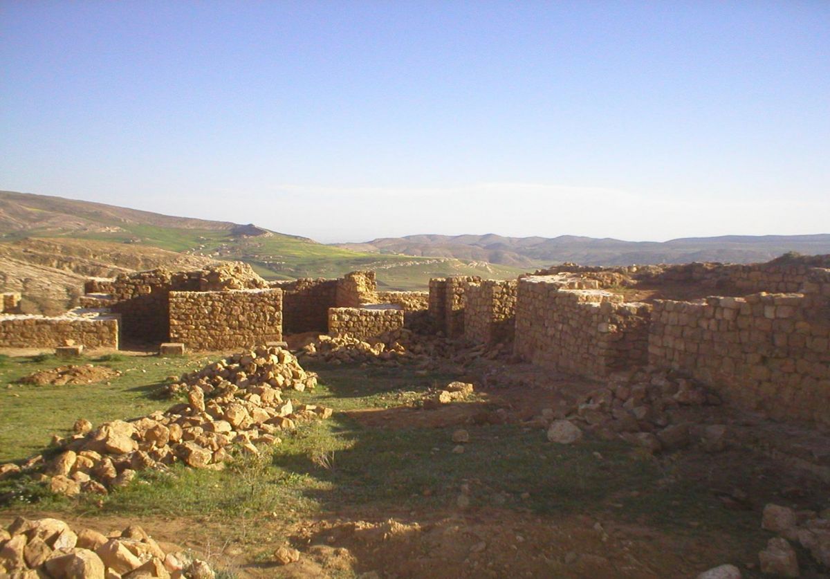 Libupedia's tweet photo. 11
We can constate that the population of Vsinaza will survive in the region of the mountains of #Titteri until the medieval ages, where they are going to establish the big #Zirid dynasty. https://t.co/rpxK5bHlL2