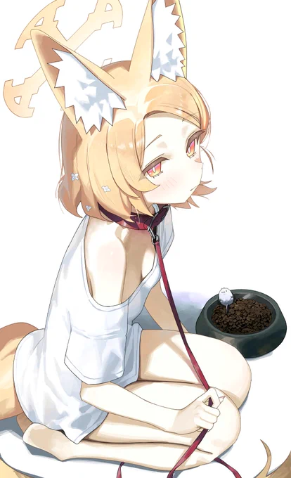 次か~ 