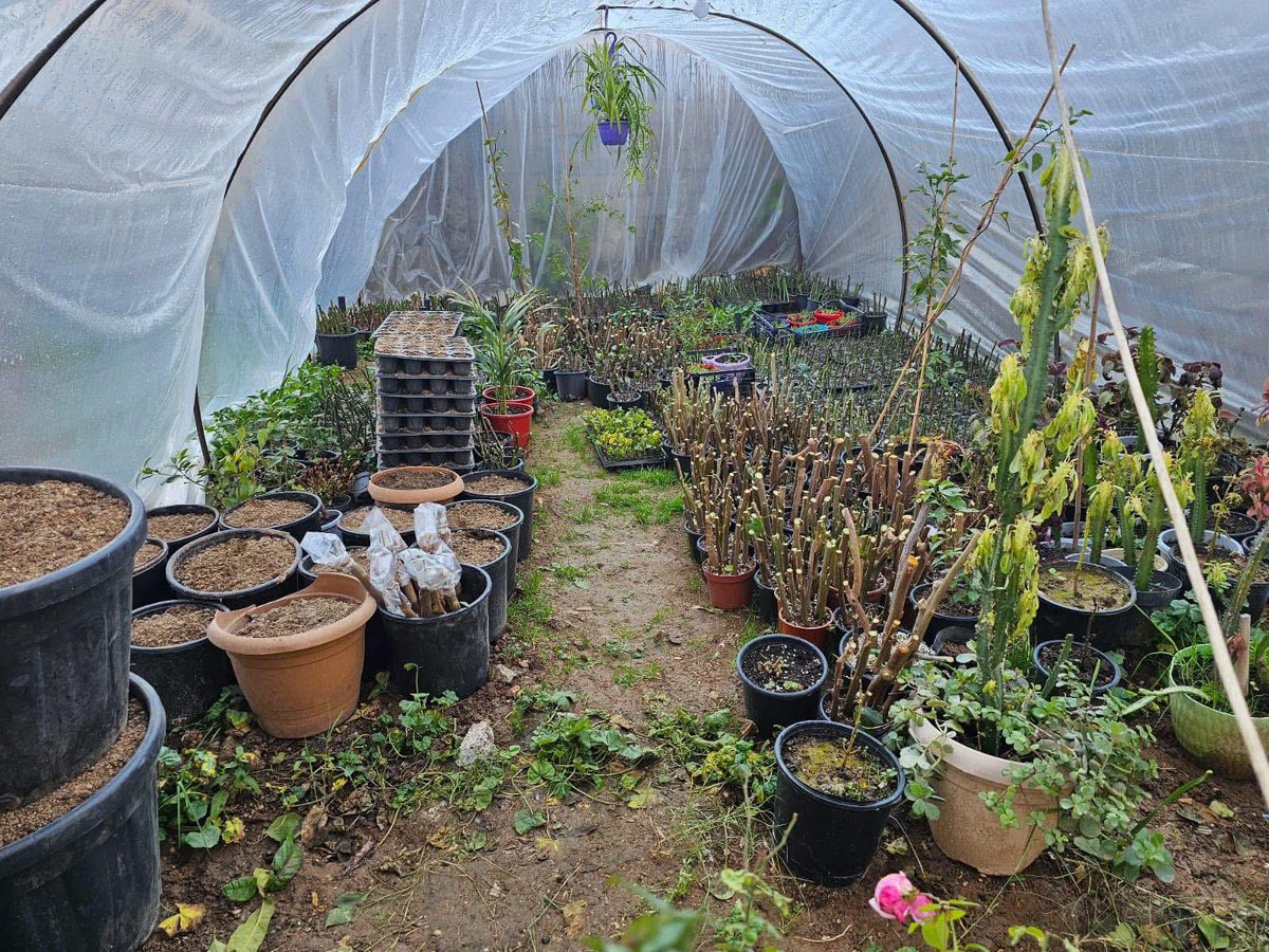 Seracı kursumuzun uygulama dersinden güzel kareler. <a href="/BirolEkici73/">Birol Ekici</a> <a href="/SirnakValiligi/">T.C. Şırnak Valiliği</a> <a href="/sirnakmem73/">Şırnak İl Millî Eğitim Müdürlüğü</a> <a href="/silopikymkmlk/">T.C. Silopi Kaymakamlığı</a> <a href="/SilopiMEM/">Silopi İlçe Milli Eğitim Müdürlüğü</a>