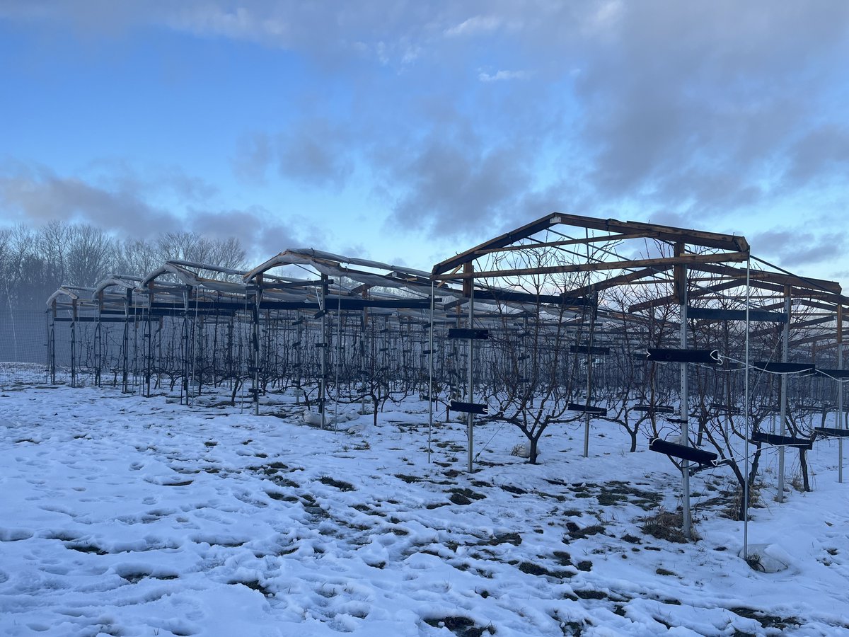 oldkayak's tweet photo. I had a great visit to Off the Wall Orchard in Concord New Hampshire, and learned about their successful story of using protective agriculture to grow organic apples under a humid climate. no water=less disease Thanks Ron for hosting me!🌿🍎 https://t.co/ksIiylFVsB