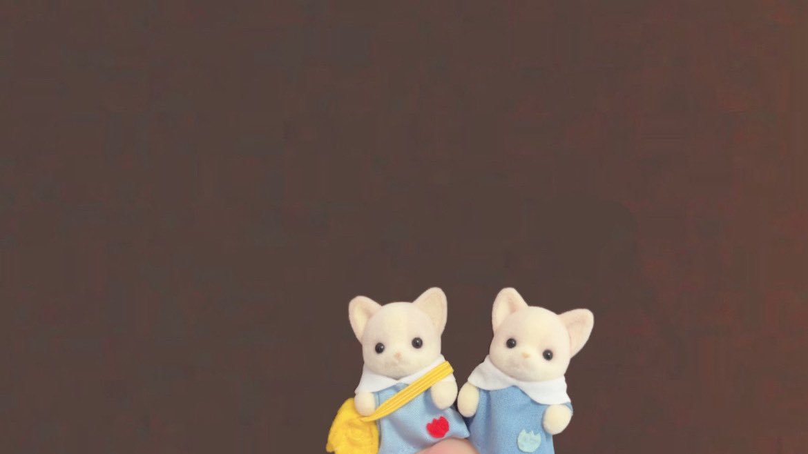 /ᐠ - ˕ -マ tweet media