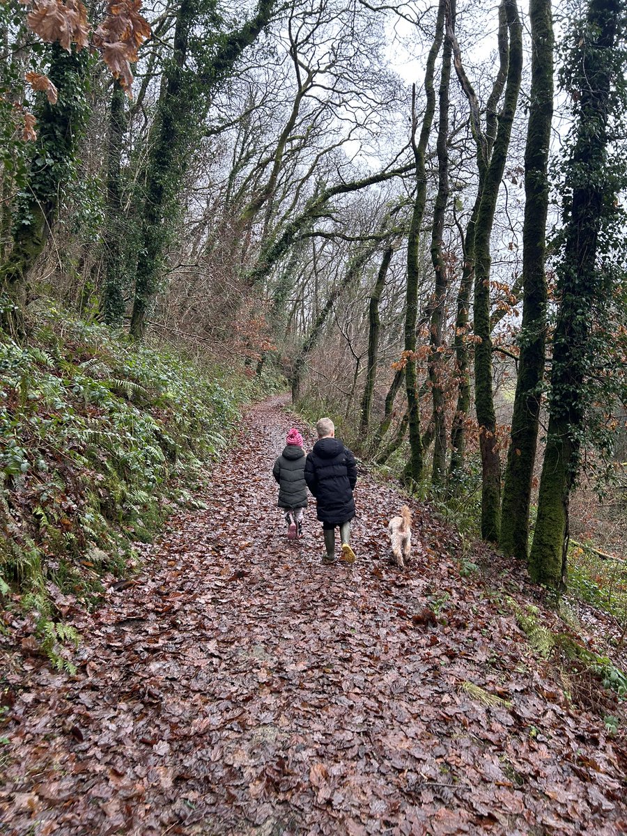 josh_libs's tweet image. Winter walks 🍂 🚶🏼‍♂️