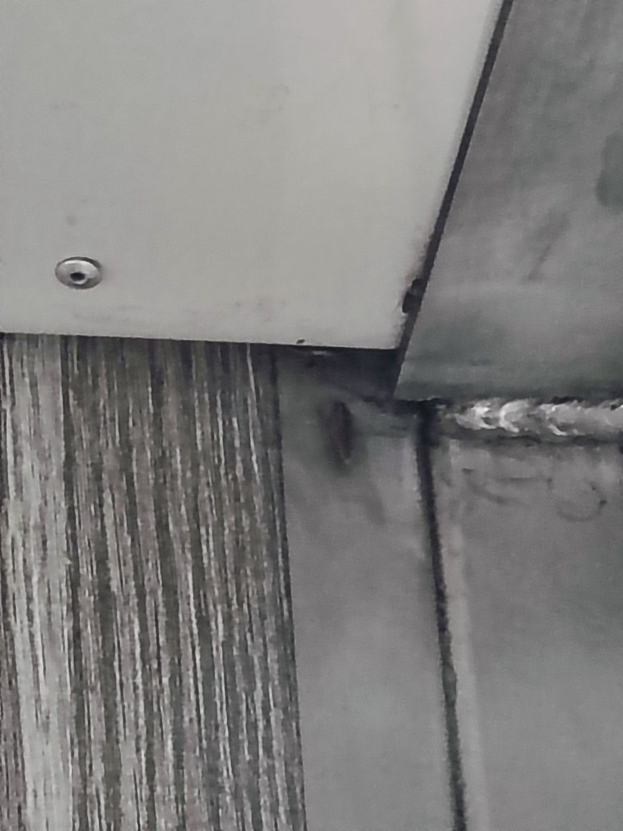 SimranPardeshi2's tweet image. 