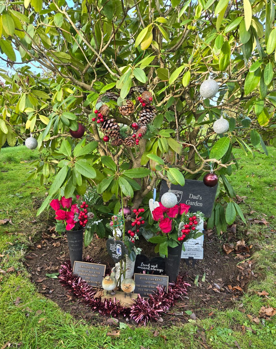 BlonDee247's tweet photo. Merry Christmas Dad 🎅

Love and miss you every minute of every day 💔❤️‍🩹❤️ https://t.co/JBhc1dOPZ0