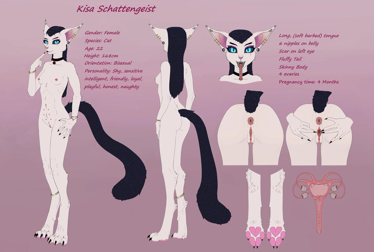 Donshadowwolf tweet media