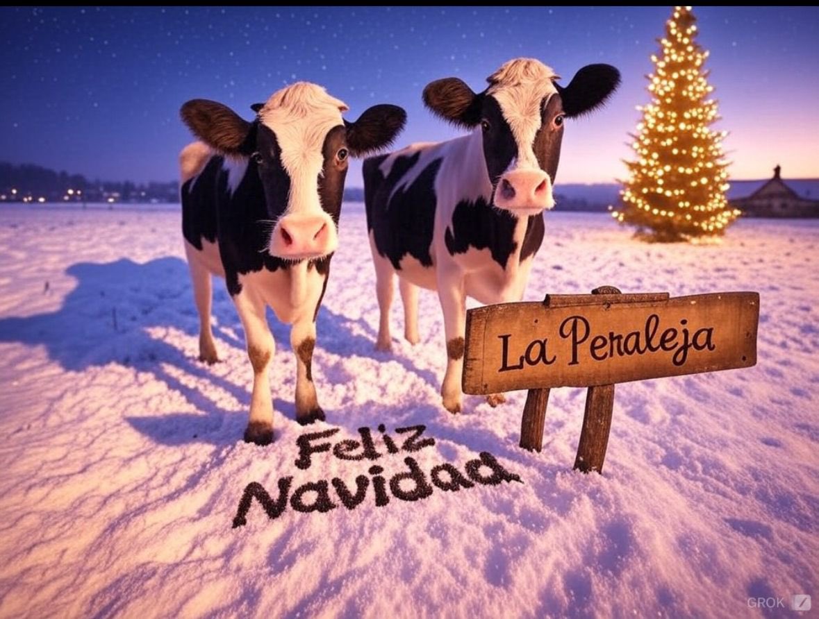 LaPeraleja's tweet photo. https://t.co/TfwYSV6x5Q