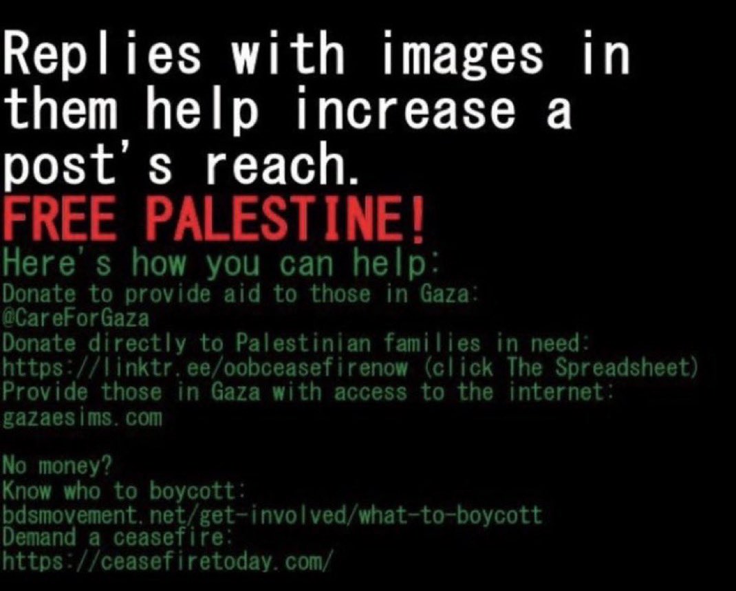Lara and her family need help escaping gaza. If you cannot donate, boost her photos. Retweets, likes, and replies with images help.