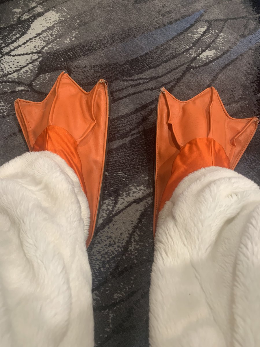 StormyFluffball's tweet photo. 🐧 https://t.co/5mjiUlyknJ