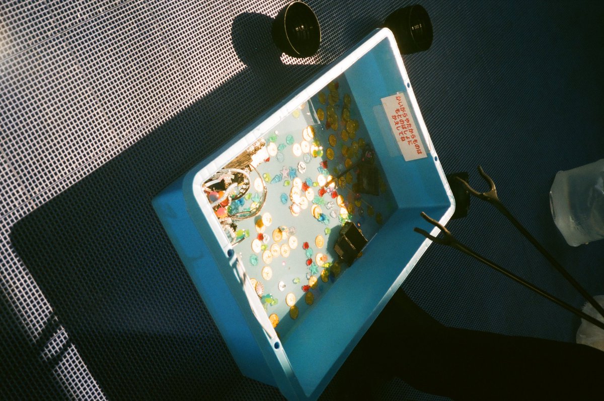 takato19's tweet photo. 『存在の証明』

#filmphotography
#CARDIA_mini https://t.co/gyBAqcqnoc