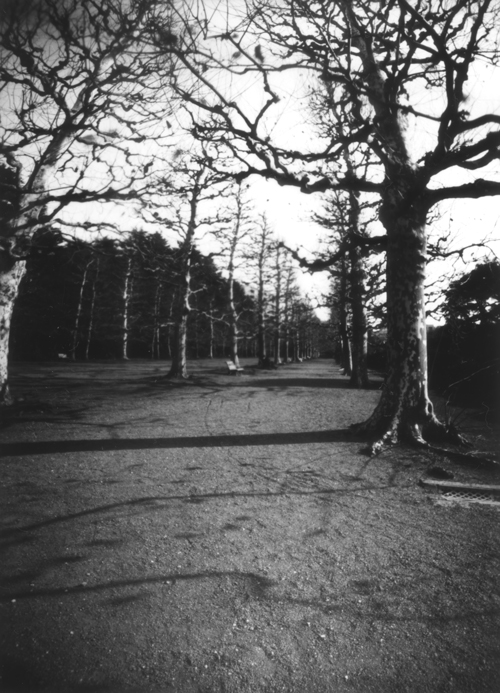 sikiko's tweet photo. 過去作品から毎日1枚、#針穴写真 をあげてるっす。1323日目。
#pinhole 
#ピンホール 
#pinholephotography 
#ピンホール写真 
#lensless 
#analogphotography 
#photographicpaper 
#印画紙ネガ 
#tincancamera 
#空き缶カメラ 
#monochrome 
#bnwphotography 
#1日1枚針穴写真 https://t.co/yB4181pwbl