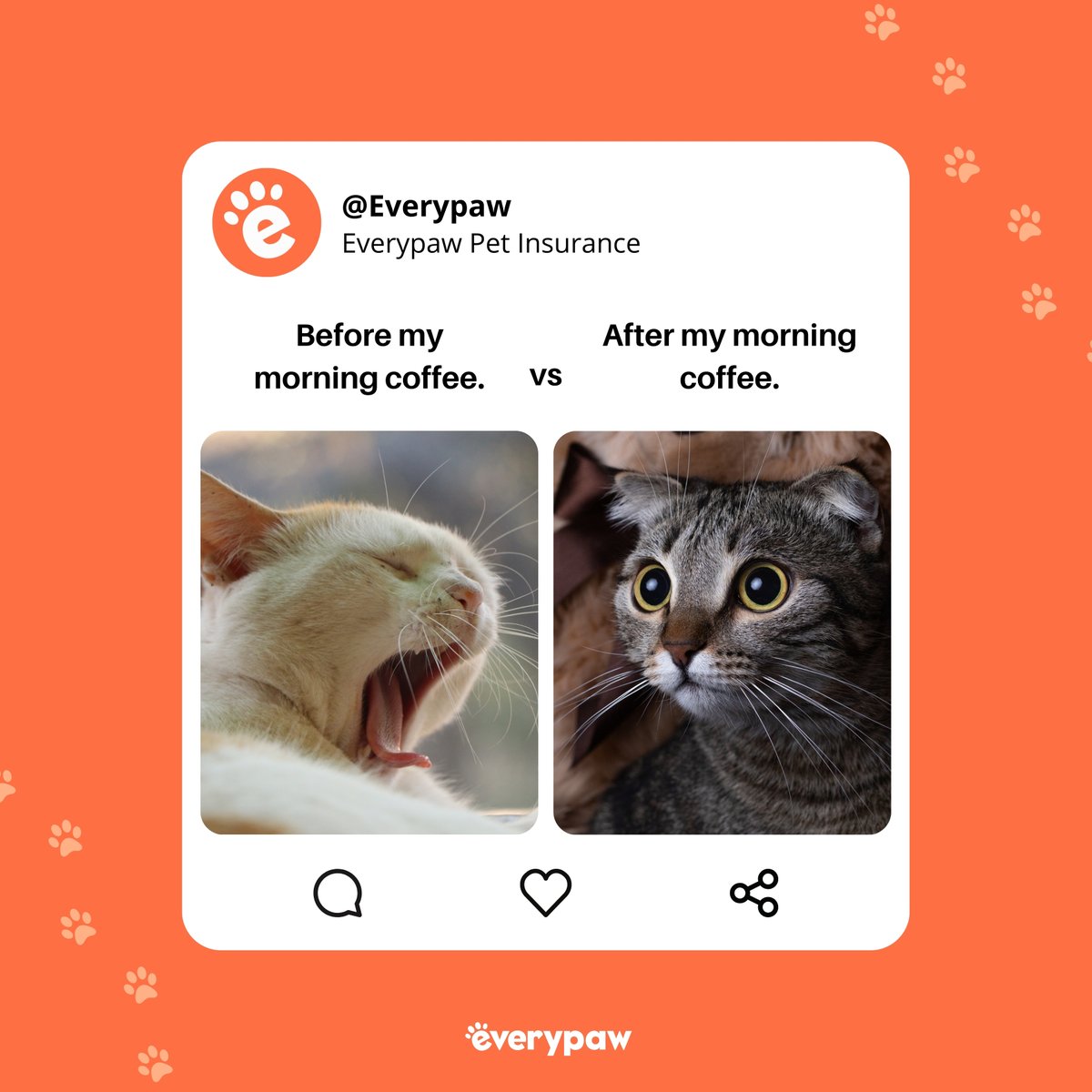 We all know the feeling! 😂

Who else is a completely different before and after their morning caffeine? 🐱☕

#MorningMood #CoffeeLovers #BeforeAndAfter #CatEnergy #EverypawPets #everypaw #petinsurance #everypawuk #everypawpetinsurance