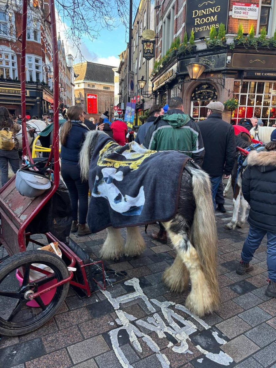 Sophia_3232's tweet photo. The Christmas parade in London was so much fun. https://t.co/LUsB8S5Dy2