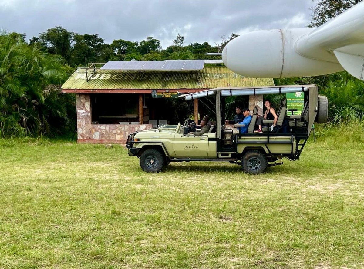 auricair's tweet photo. Auric Air offers daily flights to #Rubondo Island National Park. Africa’s Largest Island National Park
📸 @pswnano @asiliaafrica
#RubondoIsland #Tanzania #BushFlights #Island #Fishing #Africa https://t.co/Pw6MByrMtA