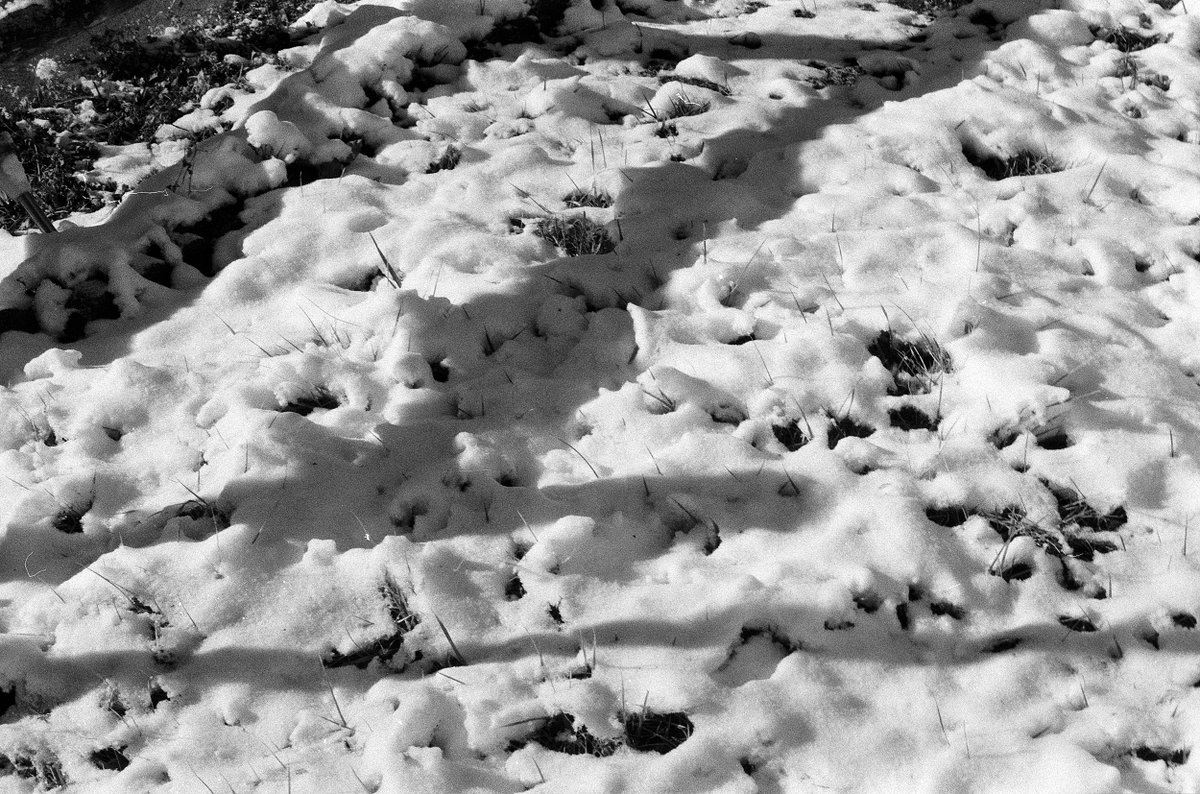BrianBednarek1's tweet image. Camera: Pentax Spotmatic SP1000
Film: Kentmere 400

#Pentax #Spotmatic #SP1000 #135 #FilmIsNotDead #frugal