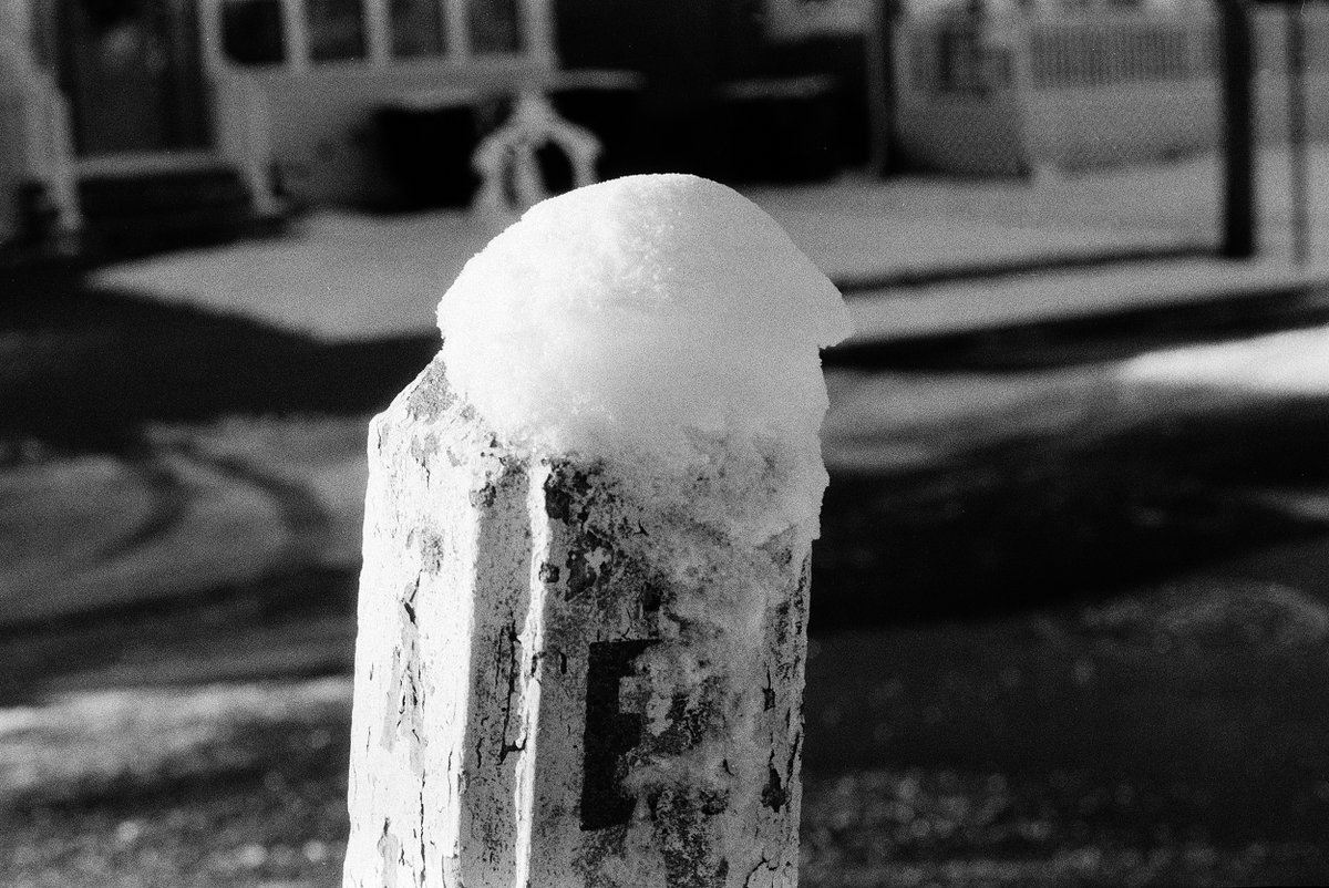 BrianBednarek1's tweet image. Camera: Pentax Spotmatic SP1000
Film: Kentmere 400

#Pentax #Spotmatic #SP1000 #135 #FilmIsNotDead #frugal