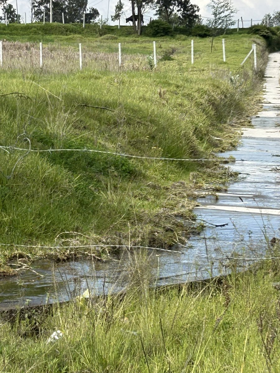 EstelaMariaP's tweet photo. @aguadequito hay una fuga de agua en la calle Flor de Pascua en el sector de La Cocha en La Merced https://t.co/x0v4fJ7wf4