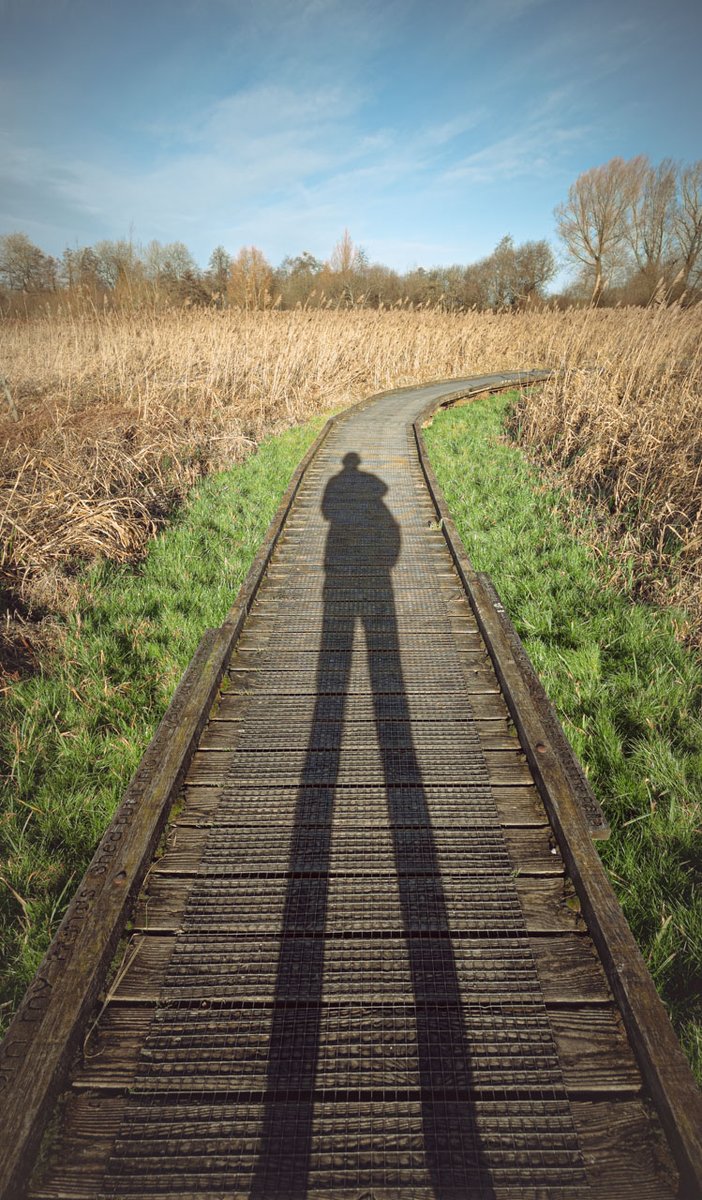 louisdumont's tweet image. Out stretching my legs on a walk #photography #ultrawide