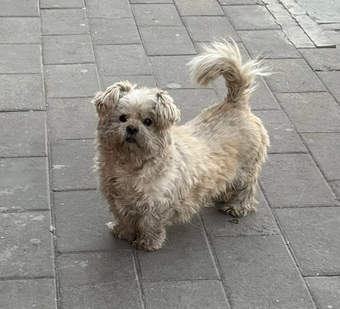 บ้บ tweet media