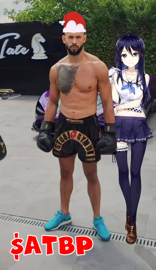 AndrewTatesBaldPatch tweet media