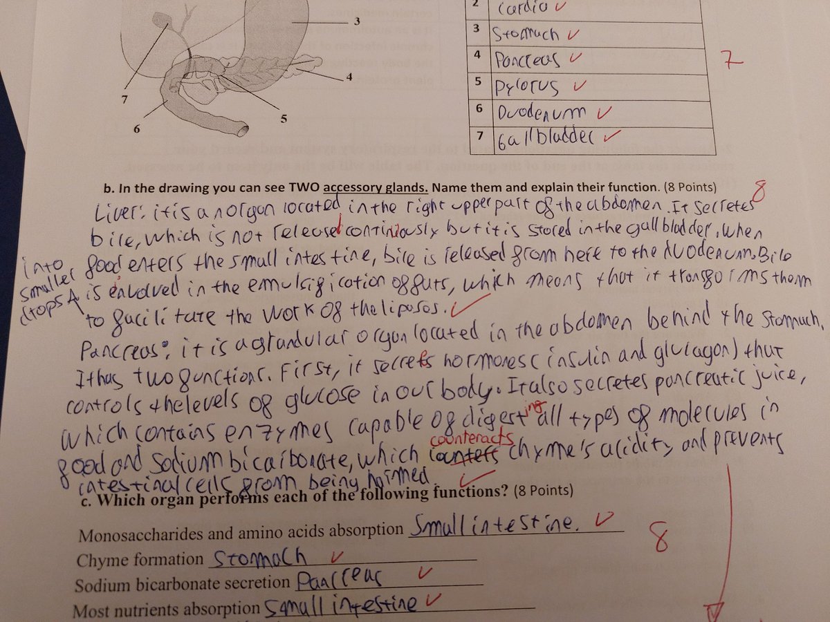 Cristina Bienes tweet media