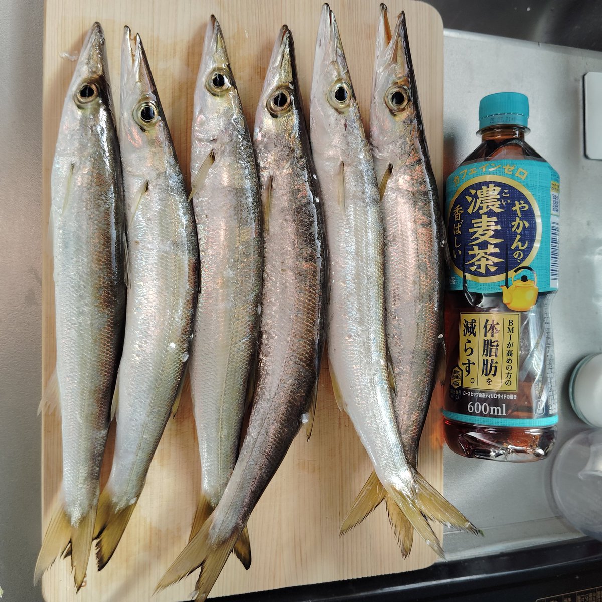 本日もカマス調査🎣
先週ガラガラだったのに、今日は満員御礼。
なんとかスペース確保し、楽しめました😏
ほとんどリリースしましたが、一番大きい子で、38cmでした。
#Olympic
#Thirtyfour