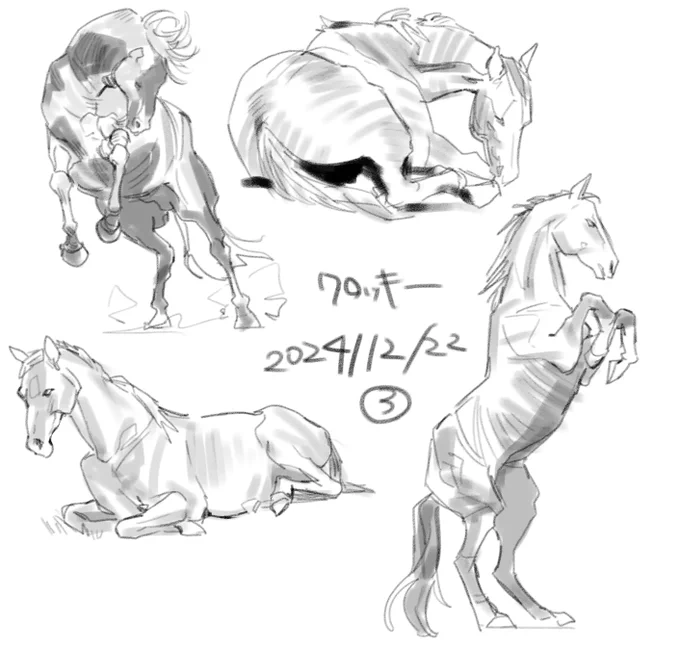 今日の寝る前の画像見ながら練習🐴 