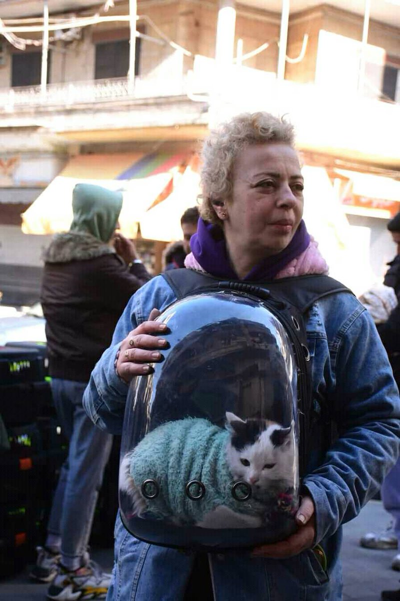 For free what your pet needs. A campaign in #Aleppo #FreeSyria with the cat man of Aleppo 💚