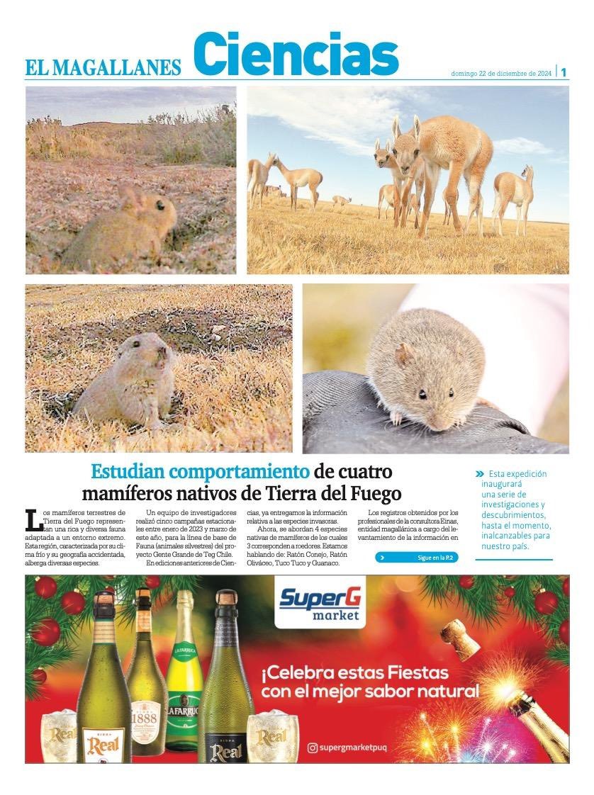 TEG_Chile tweet picture