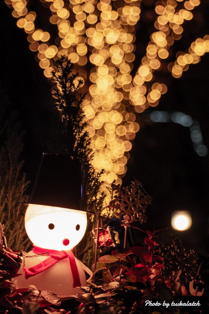 tsukalatch's tweet photo. 安城市のデンパークでクリスマスイルミ撮影

温室のクリスマスツリーも良かったけど、屋外の雪だるまも雰囲気あり

#安城市
#デンパーク
#Christmas2024 
#Illumination 
#SnowMan https://t.co/H0aybTe332