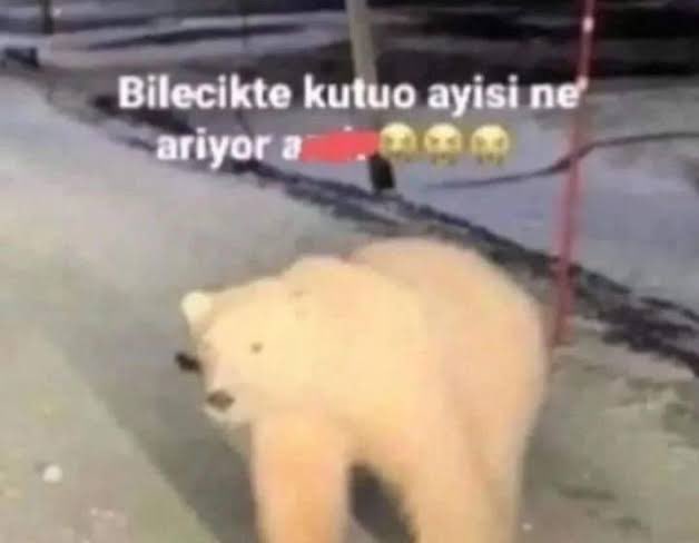 Kale ağzında gol arayan Davinson