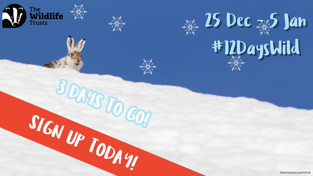 3 DAYS TO GO!  
 
Unleash your wild side this festive season! Join #12DaysWild and fill your days with starry skies, frosty wildlife walks and connect with nature every day for 12 days! Sign up today 👉  wildlifetrusts.org/12dayswild