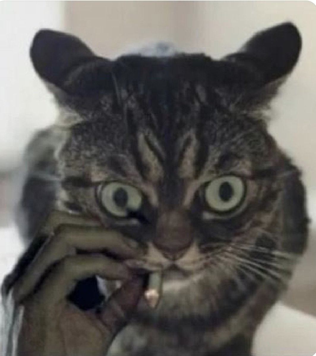 Interesting vids tweet media