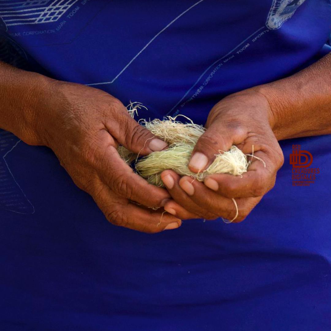 Grupo Sunu tweet media