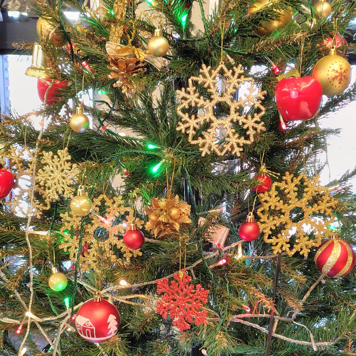 abikoGWS's tweet photo. 今年もお招きいただきました。
あたたかいクリスマス会で歌い納めとなりました。
ありがとうございました✨ https://t.co/XABokyvaxd