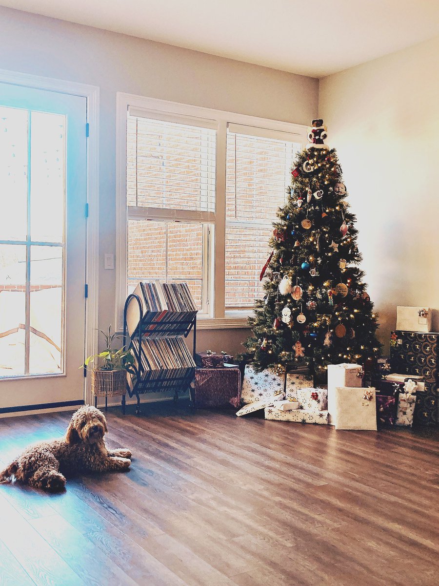 Jamie Barnes tweet media