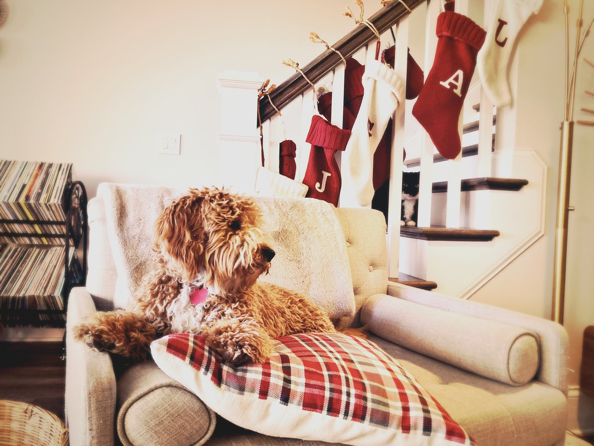 Jamie Barnes tweet media