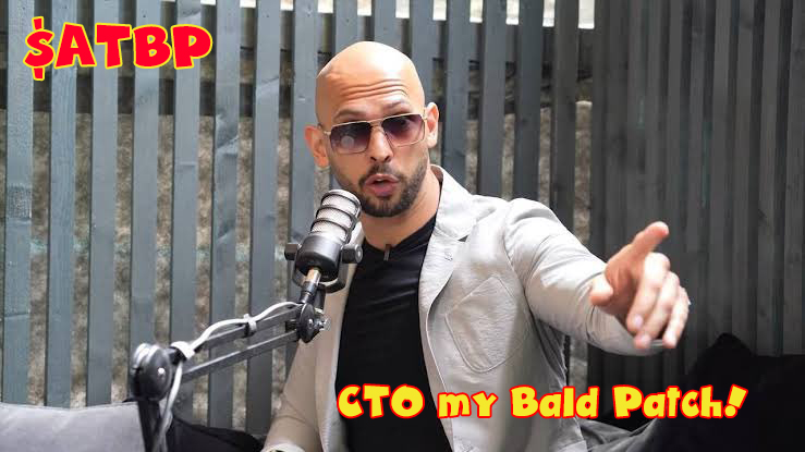 AndrewTatesBaldPatch tweet media